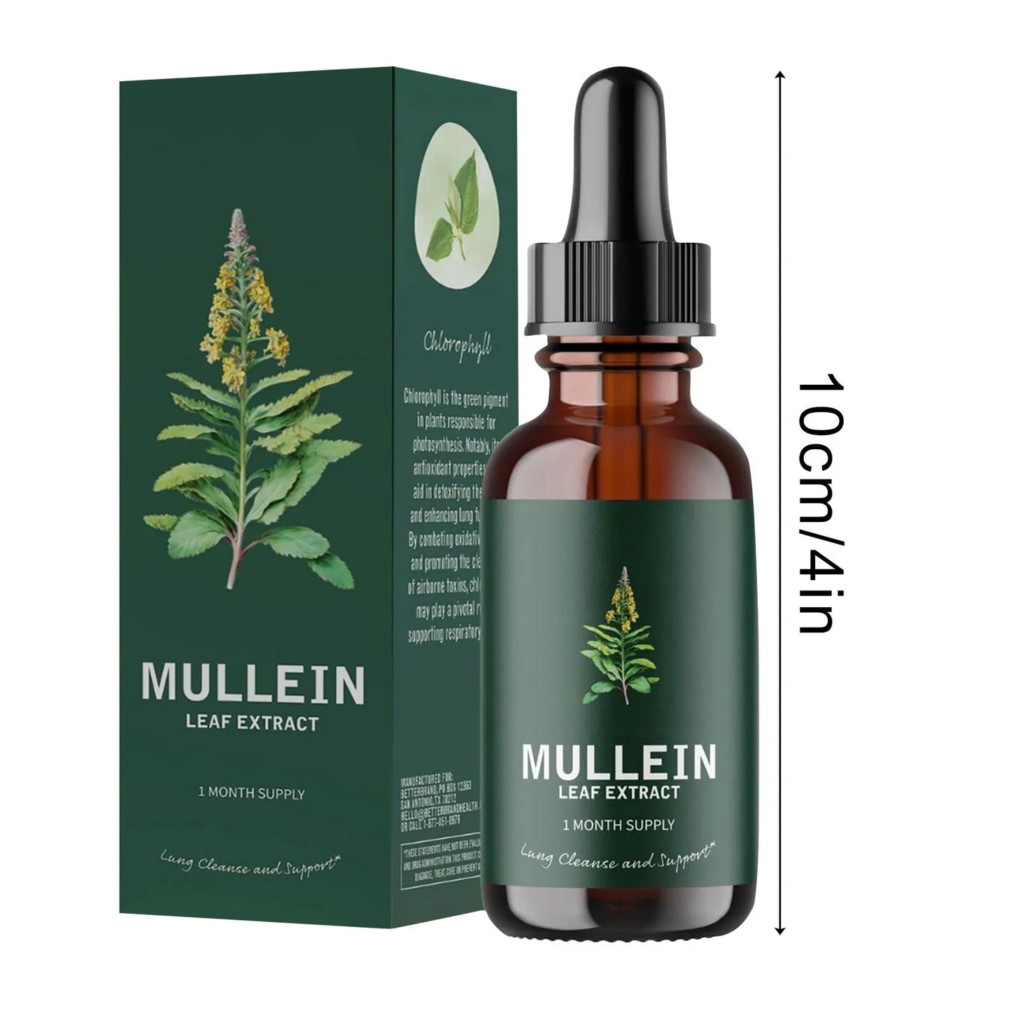 Mullein Leaf Extract Health and Fitness Supplement Clean Lung Drops Health Drops for Smokers 10Ml