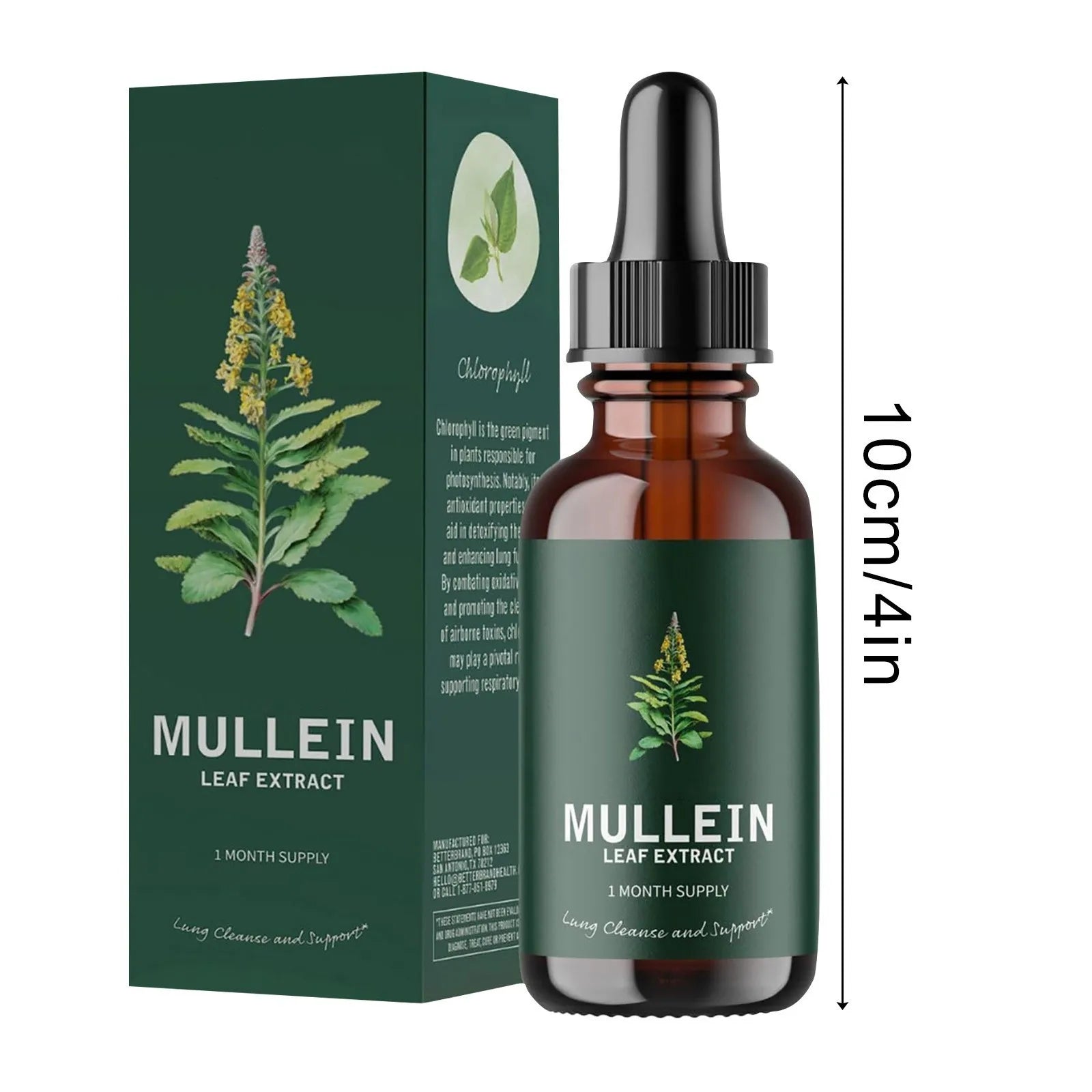 Mullein Leaf Extract Health and Fitness Supplement Clean Lung Drops Health Drops for Smokers 10Ml