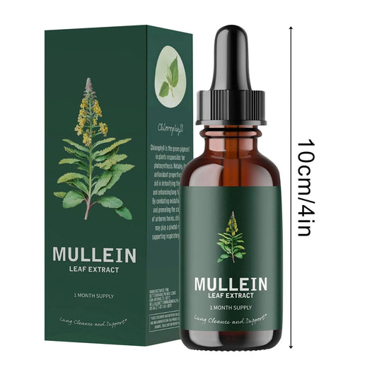 Mullein Leaf Extract Health and Fitness Supplement Clean Lung Drops Health Drops for Smokers 10Ml