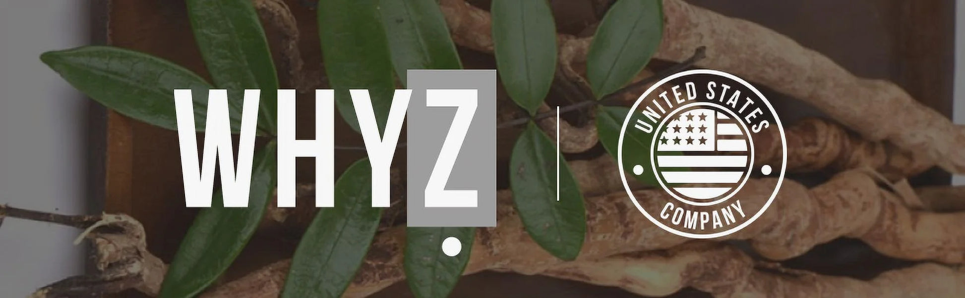 Tongkat Ali Powder, Longjack Extract, Boost Workout Performance, Dietary Supplement 113G